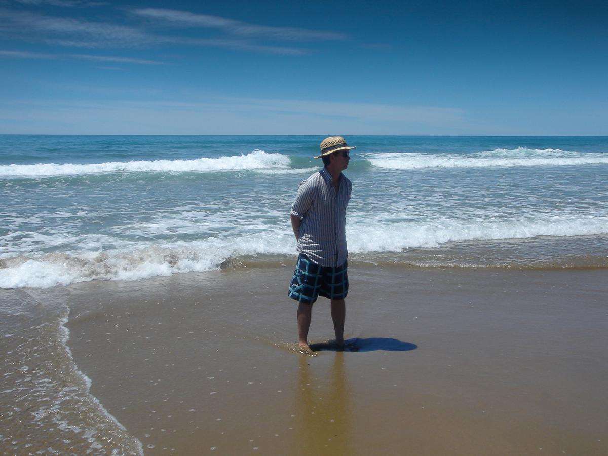 Secluded Haven Near Bush, Beach & ハブロック・ノース エクステリア 写真